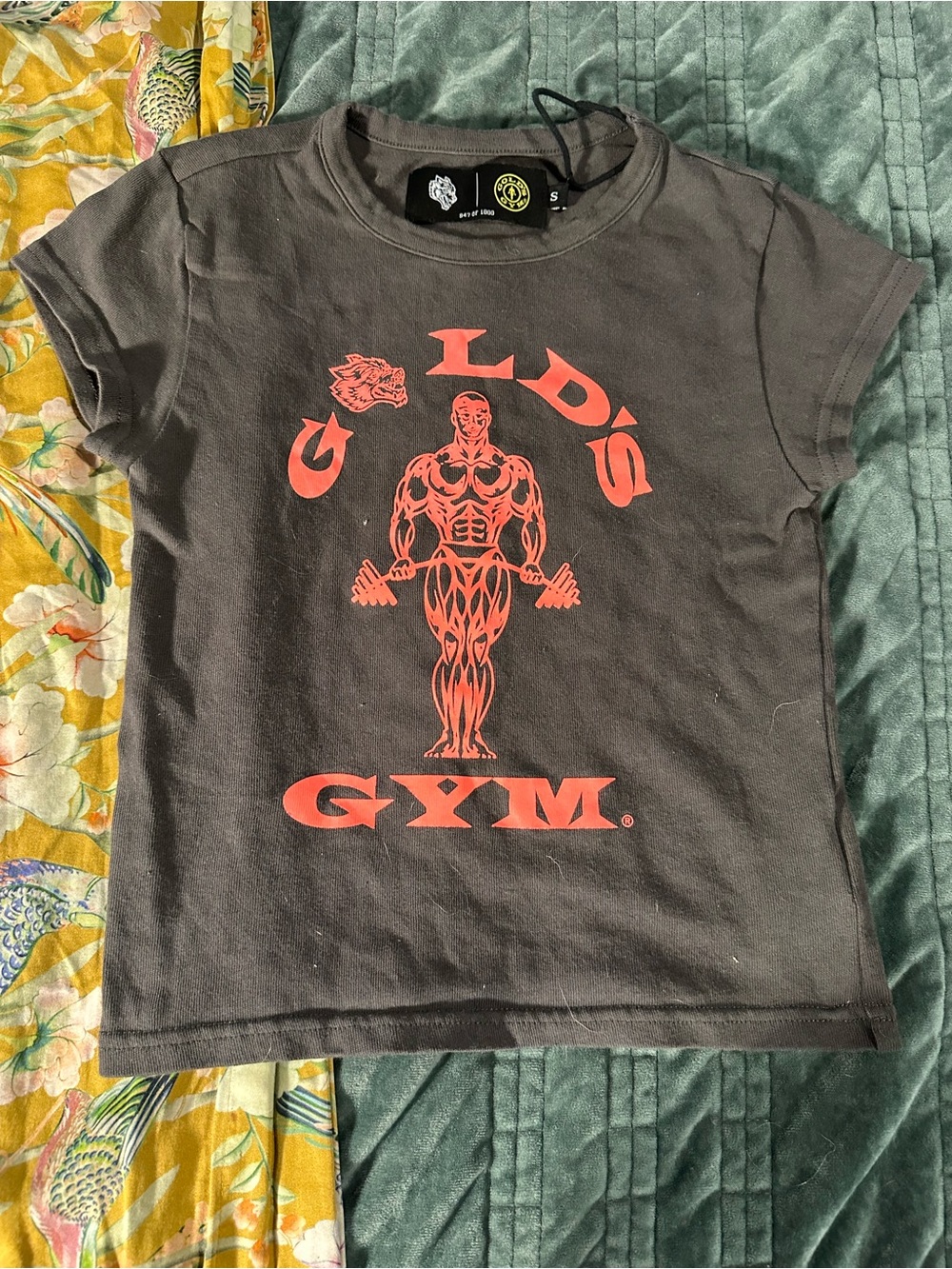 DarcSport - RARE Gold's Gym collaboration